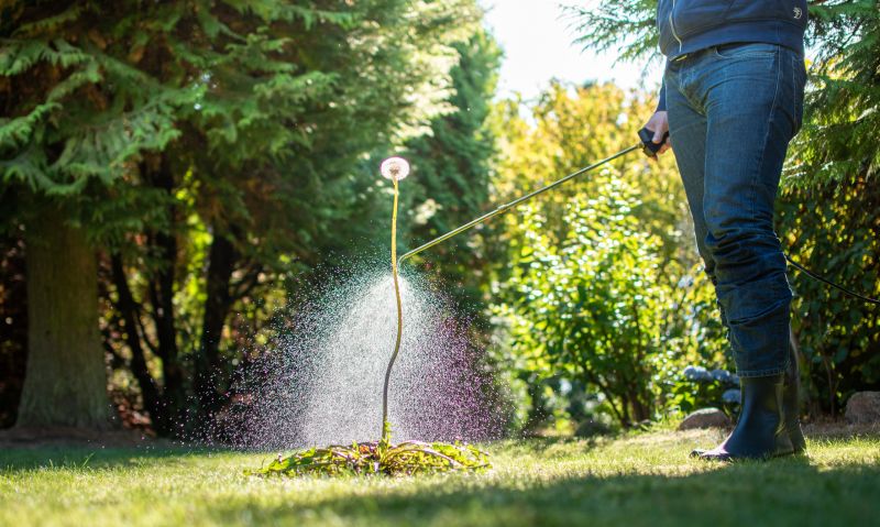 Commercial Garden Maintenance