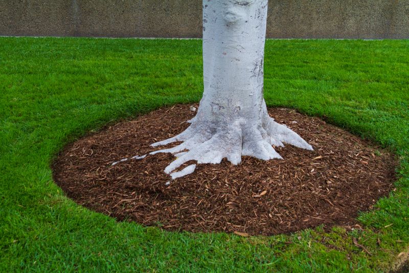 Cypress Mulch Installation in Honolulu, HI