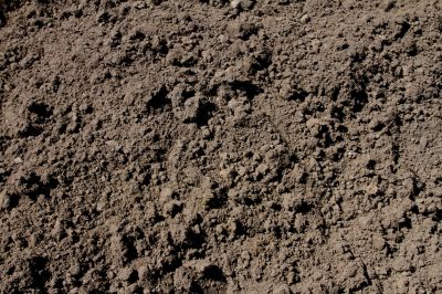 Improve Planting Conditions with Topsoil Delivery!